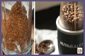 Where Can You Grind Coffee Beans?